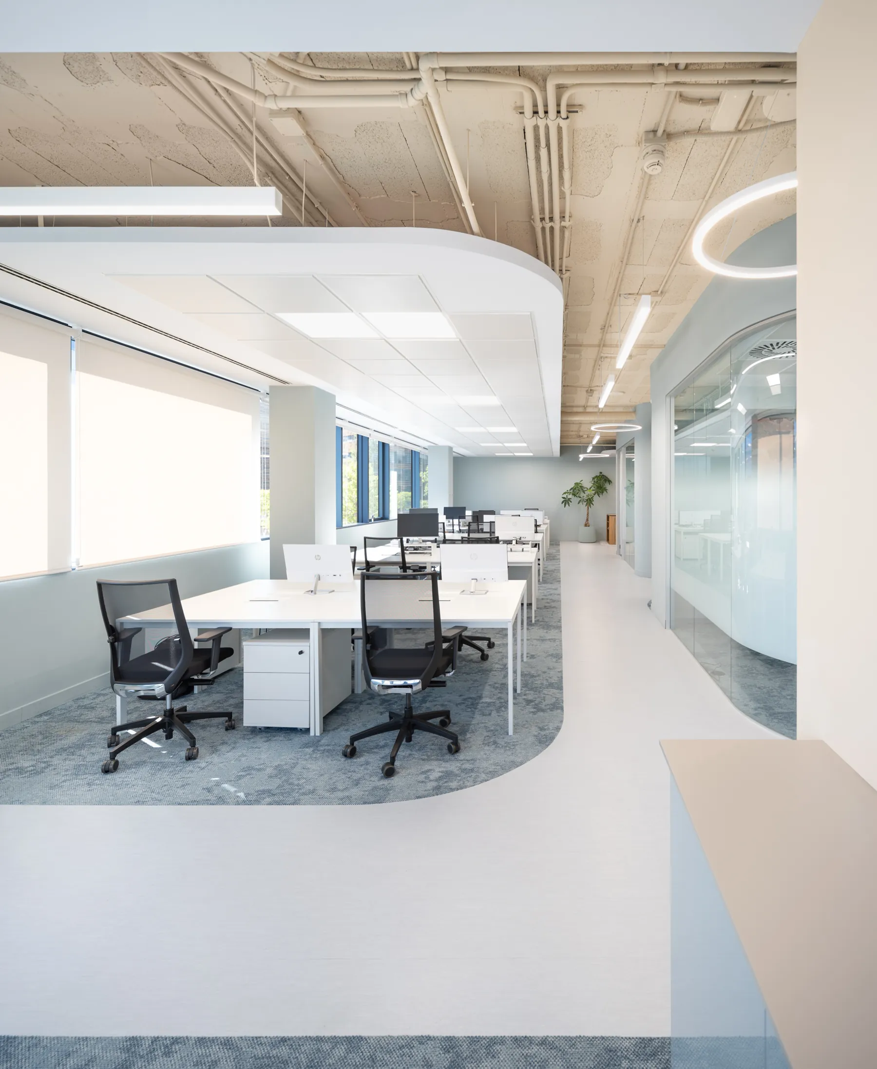 Oficinas MAAR, Oficina en Fuencarral (Fuencarral, Madrid). Imagen 8