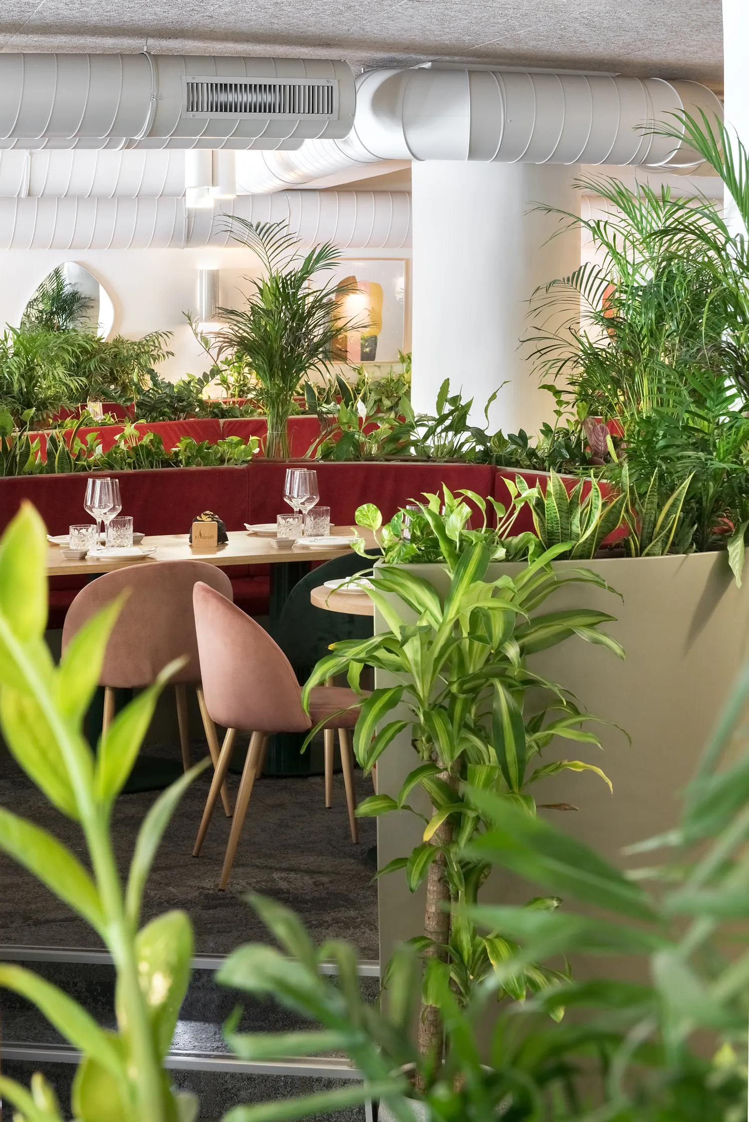 Restaurante Ronda 14, Restaurante en Pozuelo de Alarcón (Pozuelo de Alarcón, Madrid). Imagen 7