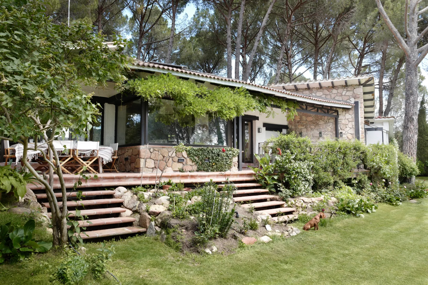 Vivienda en Calas de Guisando, Reforma de vivienda en Ávila (Guisando, Ávila). Imagen 3